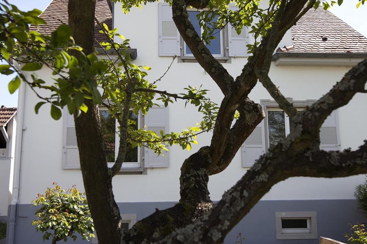 Ravissant 3P 90M2 Au Calme, Proche Du Parlement Europeen Straßburg Exterior foto
